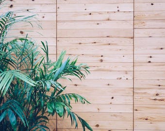 Listones de madera para exteriores