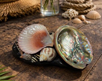 Seashell Jewelry Holder Dish | Coastal Ring Holder | Beach Decor Trinket Tray | Handmade Shell Dish with Epoxy Finish