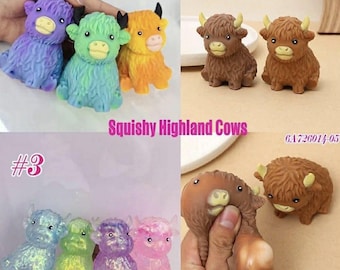 Misteriosa vaca escocesa blandita