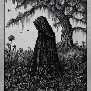 May include: Black and white illustration of a figure in a hooded cloak standing in a field of flowers beneath a large tree. The title "The Curses We Keep" and author's name are in red at the bottom.