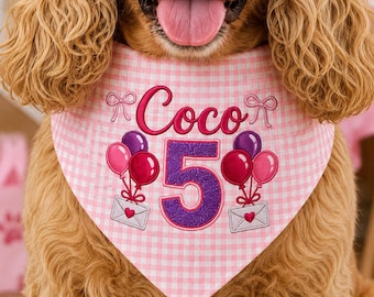 Pet Accesories
