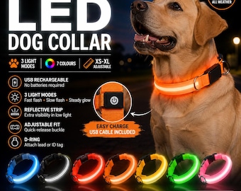 Rechargeable LED Dog Collar | 3 Modes, 7 Colors, Reflective Night Walks (XS-XL) pet gift