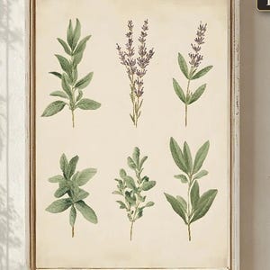 Può includere: Una stampa artistica da parete rettangolare incorniciata con sei illustrazioni botaniche di erbe verdi e rametti di lavanda viola su sfondo crema. Il testo INSTANT DOWNLOAD è visibile nell'angolo in alto a destra.