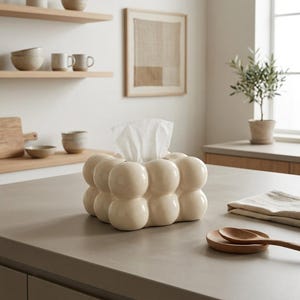 Puede incluir: Un dispensador de pañuelos de color crema con forma de burbujas, con pañuelos blancos. La caja está sobre una encimera gris en una cocina. Estanterías de madera, cuencos y una obra de arte enmarcada son visibles en el fondo.