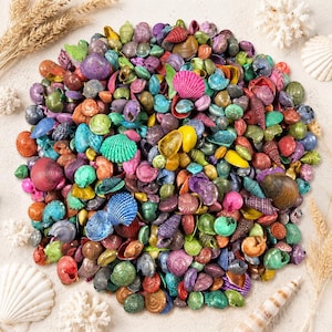 May include: A vibrant collection of colorful seashells in various shapes and sizes. The shells are painted in shades of pink, blue, green, yellow, and purple. Some shells are whole, while others are fragments. The arrangement is on a light-colored surface, with dried plants and coral.