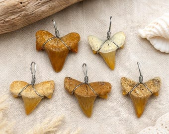 May include: Five fossilized shark teeth pendants with silver wire loops. The teeth vary in color from light tan to dark brown, with a triangular shape. The pendants are displayed on a beige linen surface, with driftwood and a seashell in the background.
