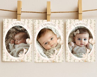 ONE Silly Goose fotovlaggetjes voor de eerste verjaardag, maandelijkse mijlpaalfoto's van je baby, aanpasbare herinneringskaarten voor het eerste jaar, bewerkbare Canva-sjabloon