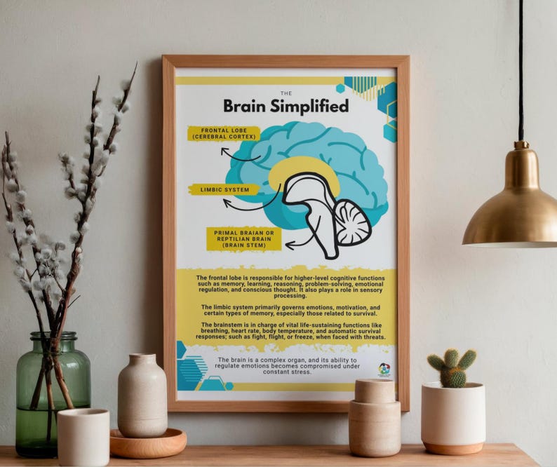 Triune Brain Handout Poster | Reptilian Limbic Neocortex (therapy PDF ...
