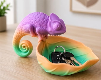 Opbergbakje in kameleonstijl | 3D-geprinte sleutelhouder | Kleurrijke organizer voor de hal