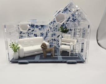 Cozy home Jumping spider enclosure/ acrylic terrarium