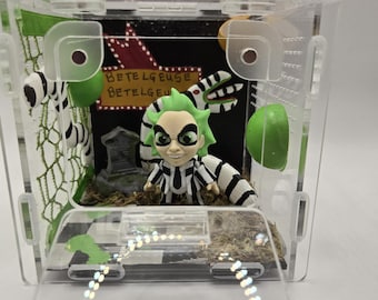 Recinto para arañas saltarinas de Beetlejuice / terrario acrílico pintado a mano que mide 4x4x4