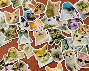 100 pegatinas de memes de gatos, divertidas calcomanías de vinilo impermeables para laptop, motocicleta, botella de agua.
