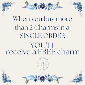 a message that reads, "When you buy more than 2 charms in a single order, you'll receive a free charm". The message is framed by a border of blue flowers and leaves.