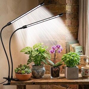 Full Spectrum LED Grow Light for Indoor Plants | 2-Head Flexible Clip-On Plant Lamp | Auto Timer & Dimmable | Desk Succulent Light