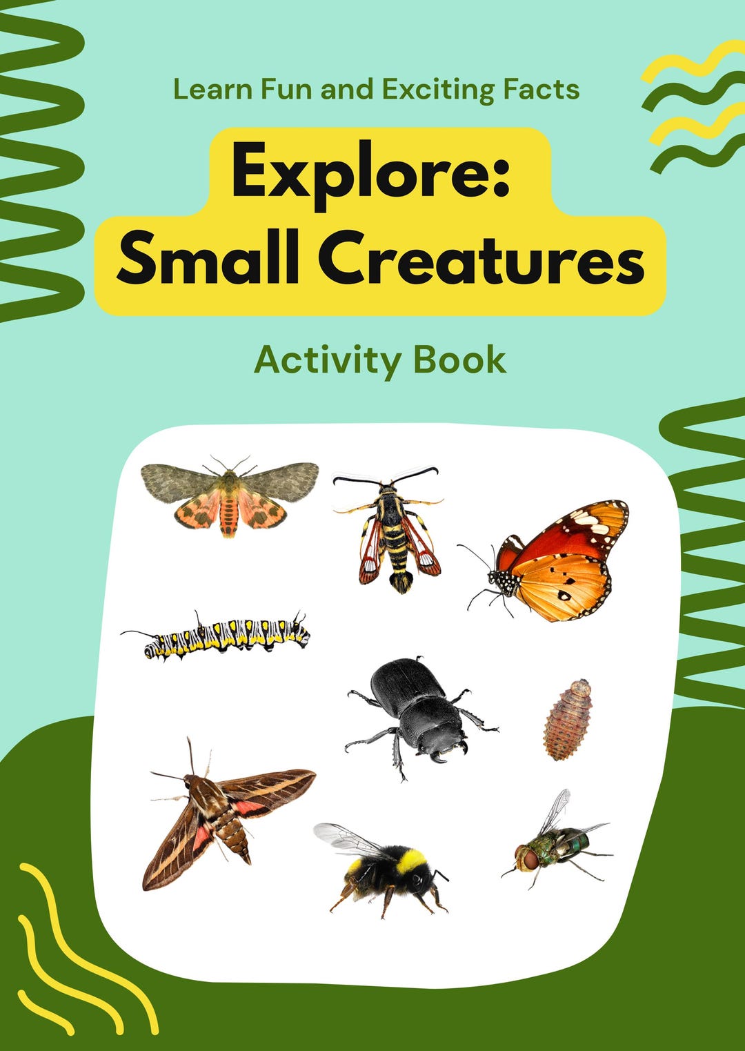 Explore: Small Creatures (explorers Activity Books for 5 to 7 Years Old ...