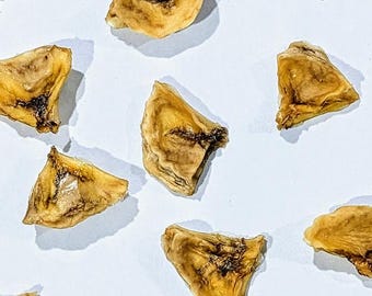 Dried Banana Bites