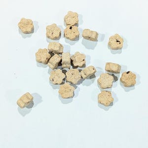 May include: A collection of small, beige, flower-shaped treats scattered on a light blue surface. Some treats have dark specks. The treats are in various shapes, including flower and rectangular forms.