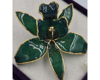 Broche de flor de orquídea auténtica esmaltada chapado en oro de 24 quilates de La Belle Collection, color verde.
