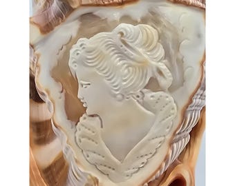 Gran figura decorativa de camafeo de concha marina tallada a mano con perfil de dama victoriana.