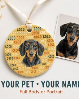 Custom Pet Photo Ornament, Personalized Dog Cat Christmas Ornament, Name Pattern Ceramic Ornament, Custom Pet Portrait Gift