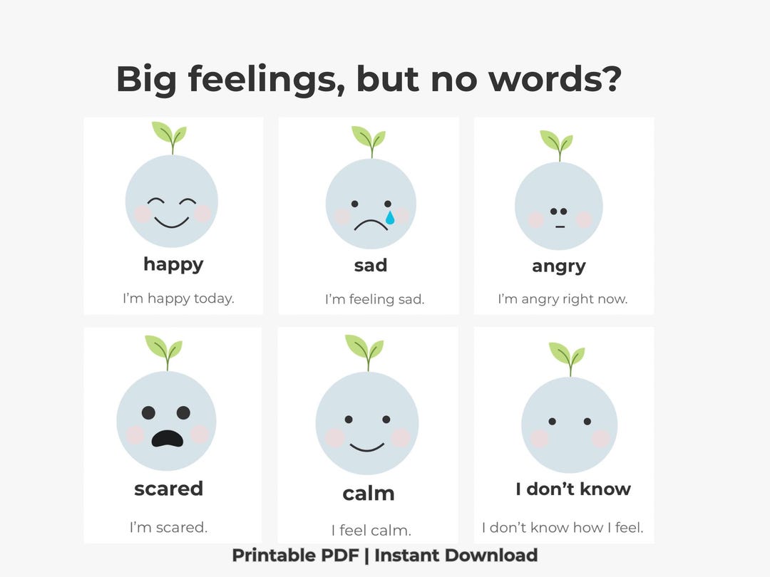 Feelings Flash Cards for Kids | Printable Emotions Cards | Toddler ...