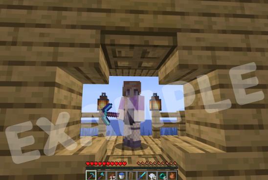 Custom Order Minecraft Skin Comission High Quality | Made to Order - Etsy