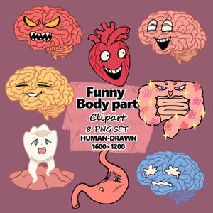 May include: A collection of eight cartoon body part clip art images, including brains, a heart, a tooth, a stomach, and an intestine. The text "Funny Body part Clipart" is displayed in the center of the image.