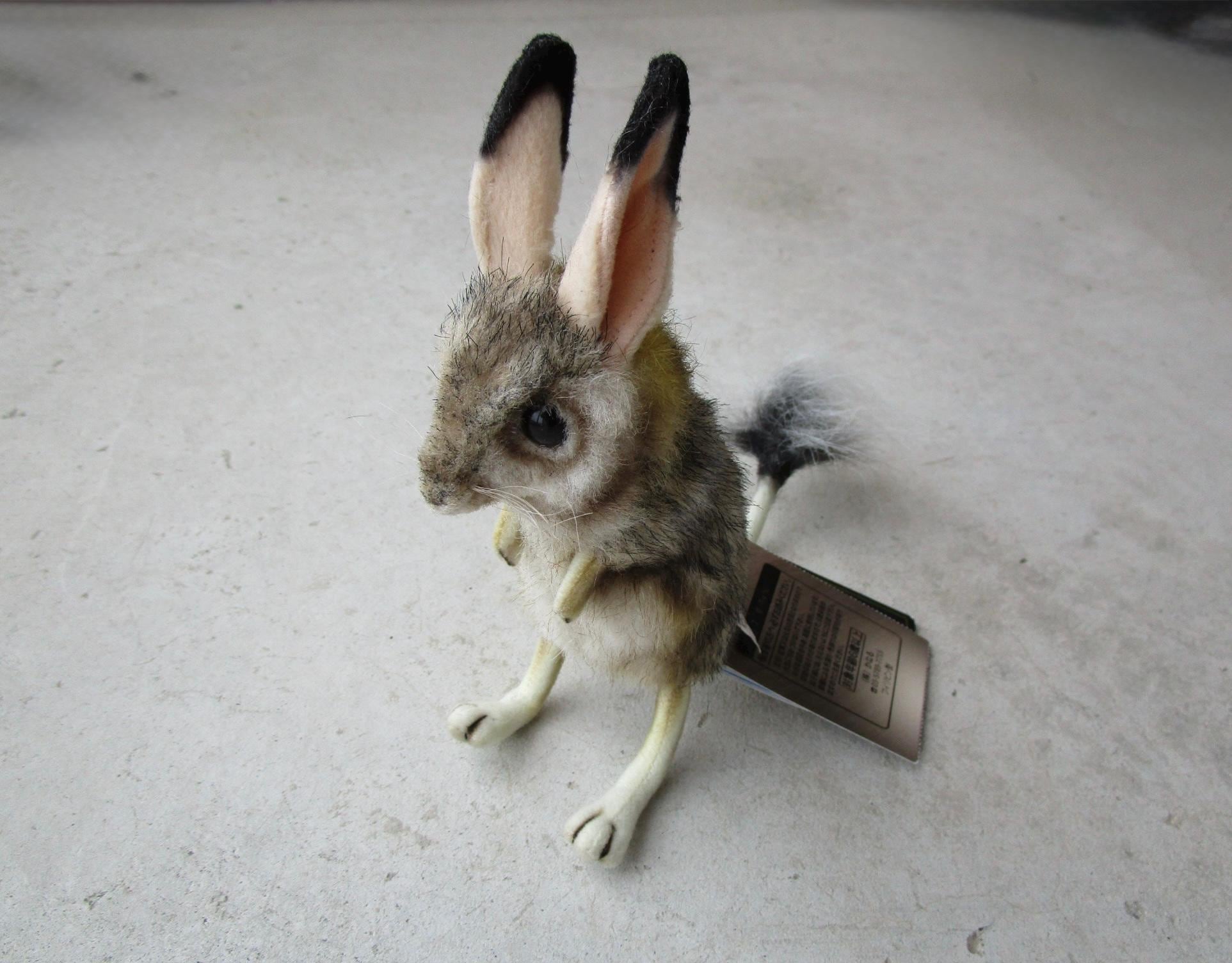 Jerboa - Etsy Singapore