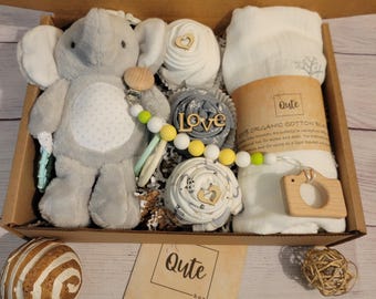 Baby Gift Box: Toy, Bodysuit Cupcakes, Custom Binky Clip, Swaddle Blanket