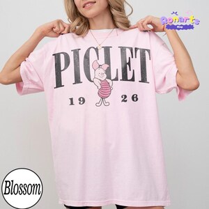 Comfort Colors Disneyland All Character Shirts, Mickey And Friends Tee, Vintage Disneyland Family Vacation Shirts, Disneyland Group Tees image 4