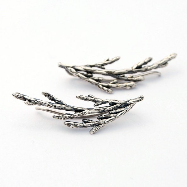 Juniper ear climbers - silver botanical earrings - Juniper earrings - juniper jewelry - Silver nature earrings