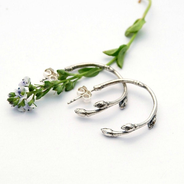 Blueberry twig hoops - botanical earrings - branch hoops - silver hoops