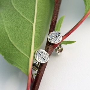 Puede incluir: Un par de pendientes de plata con un dise&ntilde;o de hoja. Los pendientes est&aacute;n en una rama verde con un tallo rojo.