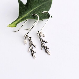 May include: Silver earrings with a delicate twig design and a small pearl accent. The earrings are hanging from a green leaf.