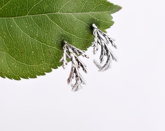 Chunky juniper hoops - silver juniper hoops - branch hoops - botanical hoops - Juniper earrings - Juniper jewelry