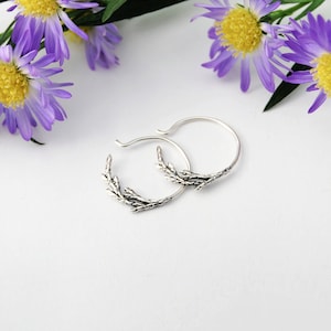 Juniper hoops silver juniper hoops branch hoops botanical hoops Juniper earrings Juniper jewelry image 1