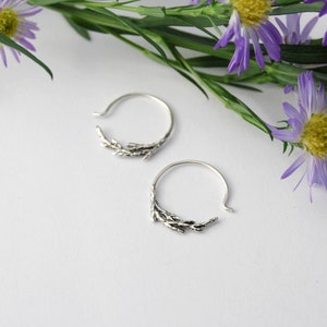 Juniper hoops silver juniper hoops branch hoops botanical hoops Juniper earrings Juniper jewelry image 3