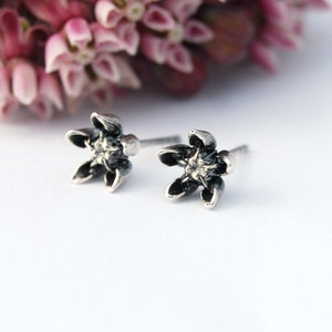 Pendientes de Asclepias - pendientes de algodoncillo - pendientes de algodoncillo - pendientes de Asclepias - pendientes de flor de plata - pendientes de flor - flor pequeña