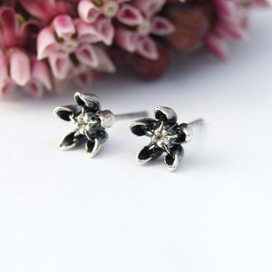 Boucles d’oreilles Asclepias Asclepias - Boucles d’oreilles asclépiade en argent sterling