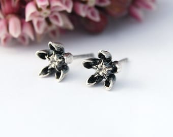 Pendientes de Asclepias - pendientes de algodoncillo - pendientes de algodoncillo - pendientes de Asclepias - pendientes de flor de plata - pendientes de flor - flor pequeña
