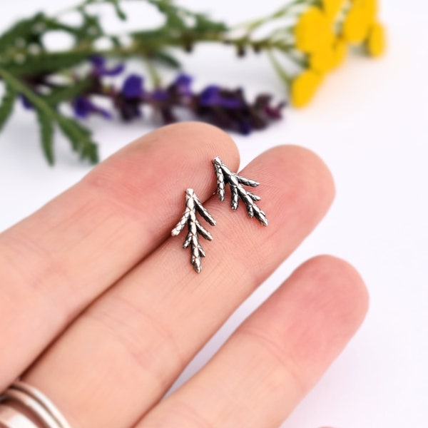 Juniper earrings - silver juniper earrings - juniper studs - botanical earrings - botanical studs - silver botanical earrings