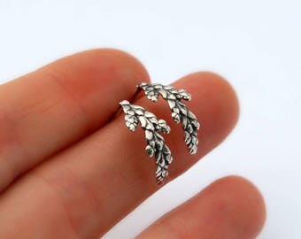 Curved cedar studs - sterling silver botanical earrings