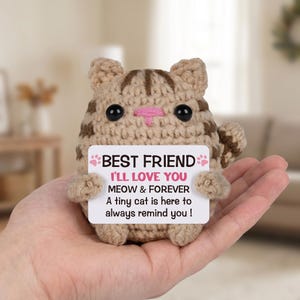 Handmade Crochet Cat Plush, Emotional Support Desk Pet, Best Friend Gift, Cute Pocket Kitty, Stress Relief Toy