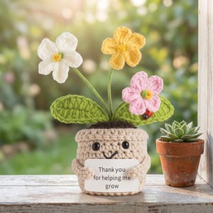 May include: A crocheted flower pot with a smiling face holds a sign that reads, "Thank you for helping me grow." The pot has three colourful flowers: white, yellow, and pink. A small succulent sits in a terracotta pot next to it.