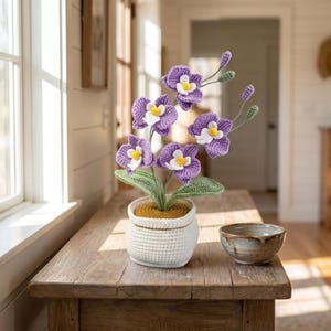 Può includere: Una pianta di orchidea all'uncinetto fatta a mano con fiori viola, centri bianchi e gialli e foglie verdi. La pianta è in un vaso all'uncinetto bianco su un tavolo di legno. Una piccola ciotola di ceramica è vicina.