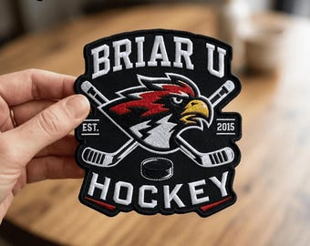 Briar University Hawks Team Embroidered Patch, Off Campus Baseball Patch, Hockey Romantic Movie College Appare