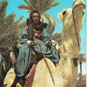 Carte postale du Maroc pittoresque - Carte postale - vintage des années 1990.