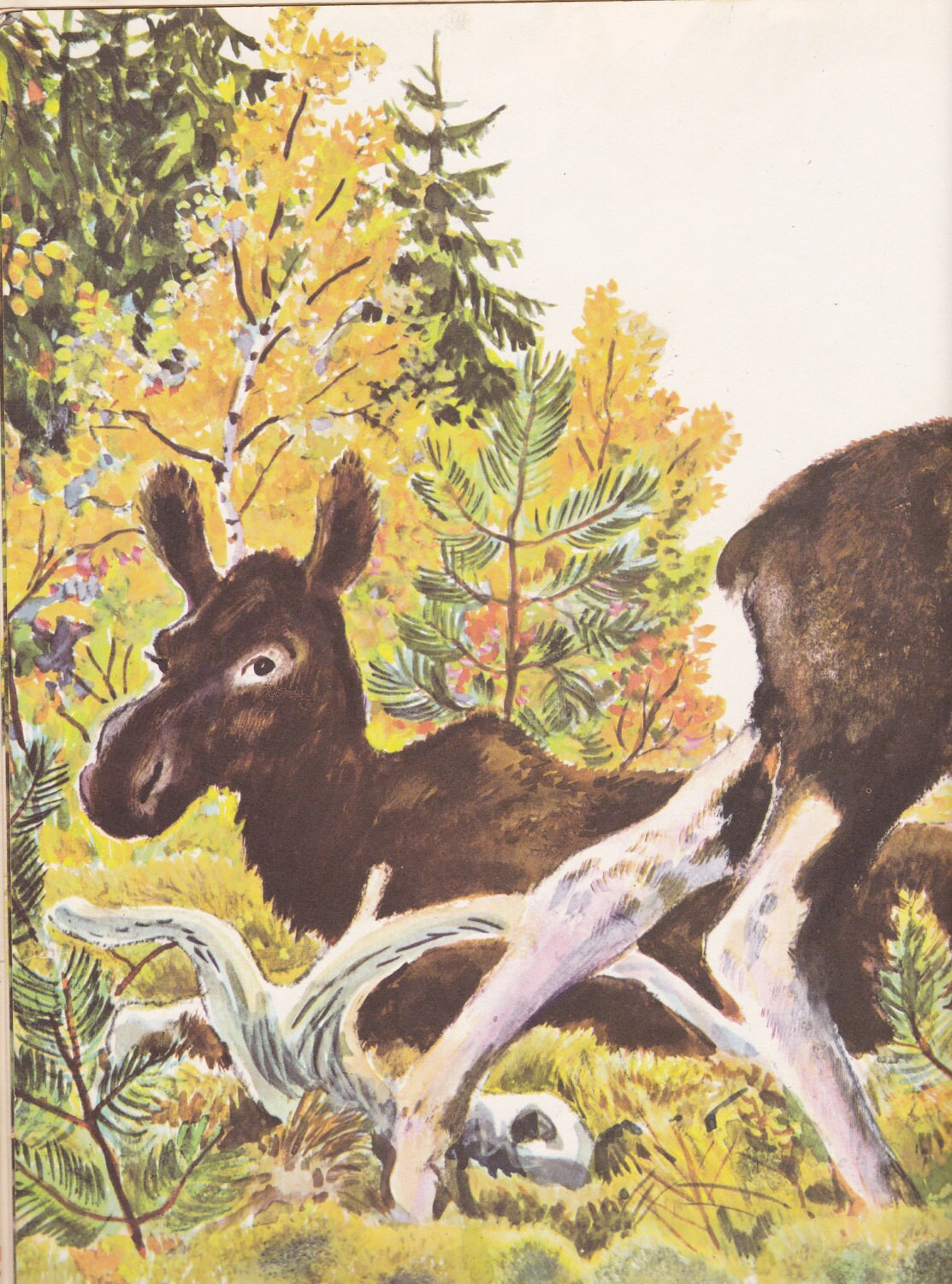 Vintage Wild Animal Book – 1951 Big Golden Book, Rojankowsky