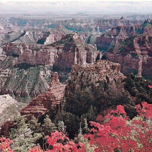 Original 1970's Autumn on the North Rim, Grand Canyon, Arizona postcard -  Vintage seventies paper ephemera