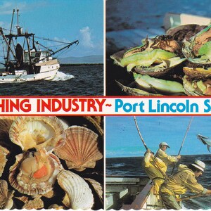 Postcard of Fishing Industry, Port Lincoln, South Australia  -  Australian Postcard - Vintage 1970s.